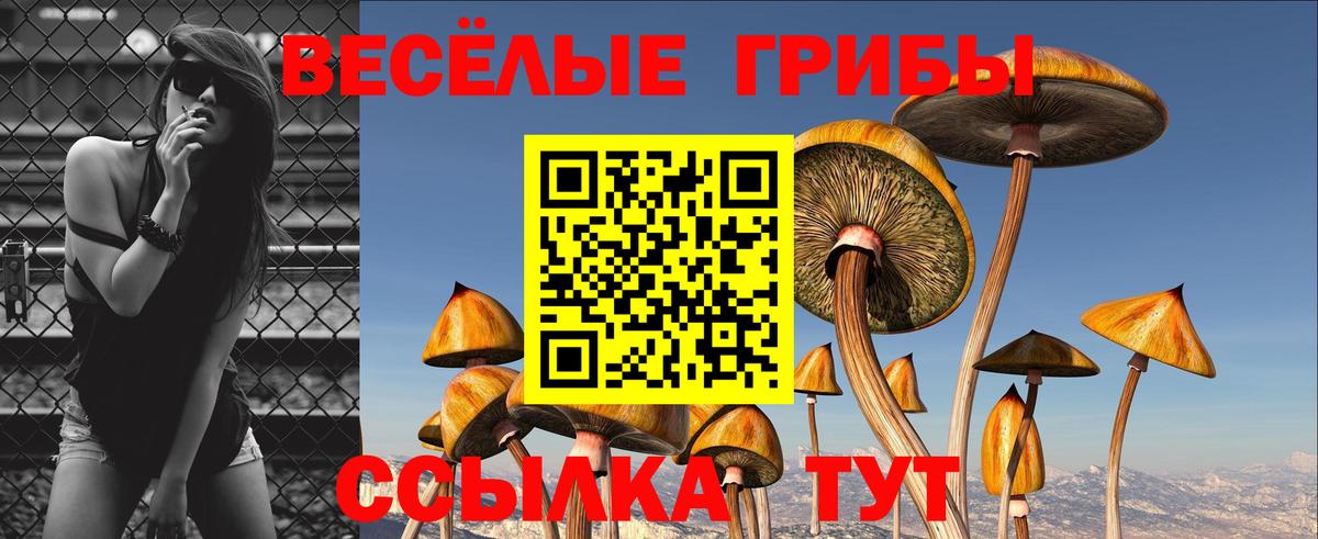 Искитим  Галлюциногенные грибы Cubensis  Вход с VPN 